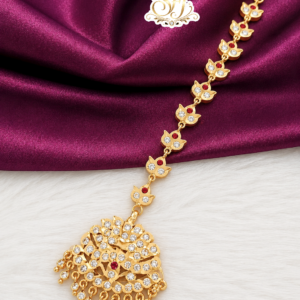 ethnic style Tikka