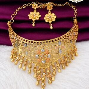 Multi tone floral chocker set